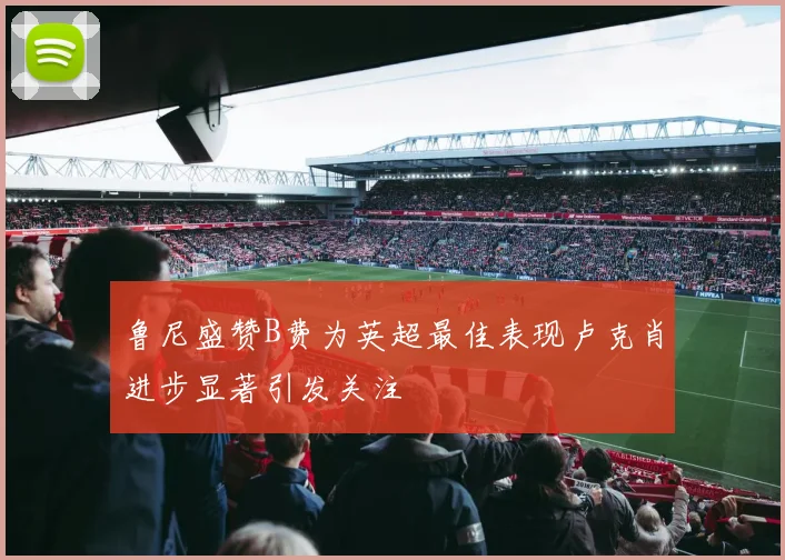 鲁尼盛赞B费为英超最佳表现卢克肖进步显著引发关注